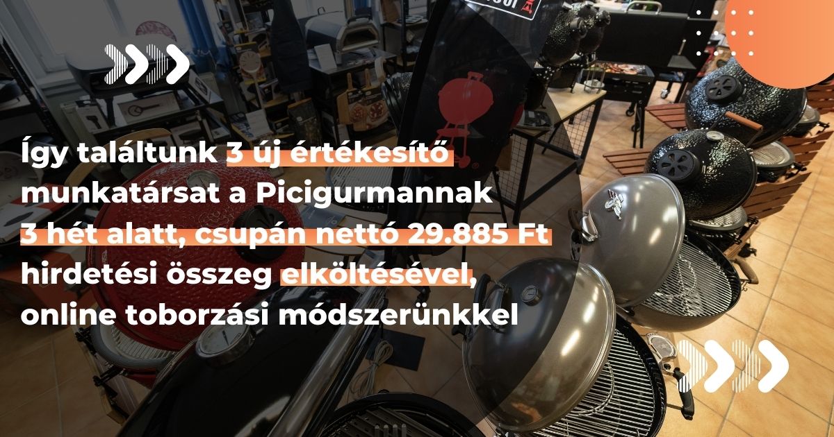 picigurman-ertekesito-esettanulmany